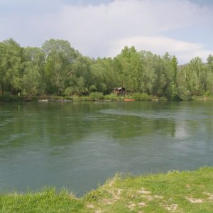 Rijeka Drava